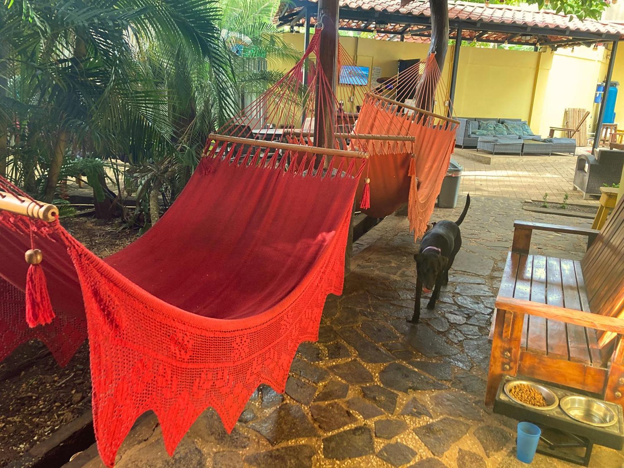 Tamarindo Backpackers旅舍 外观 照片
