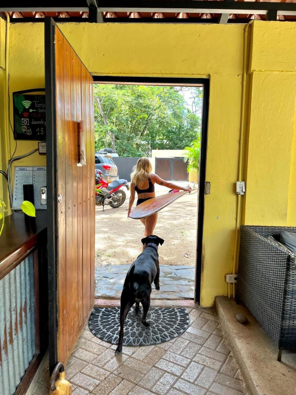 Tamarindo Backpackers旅舍 外观 照片