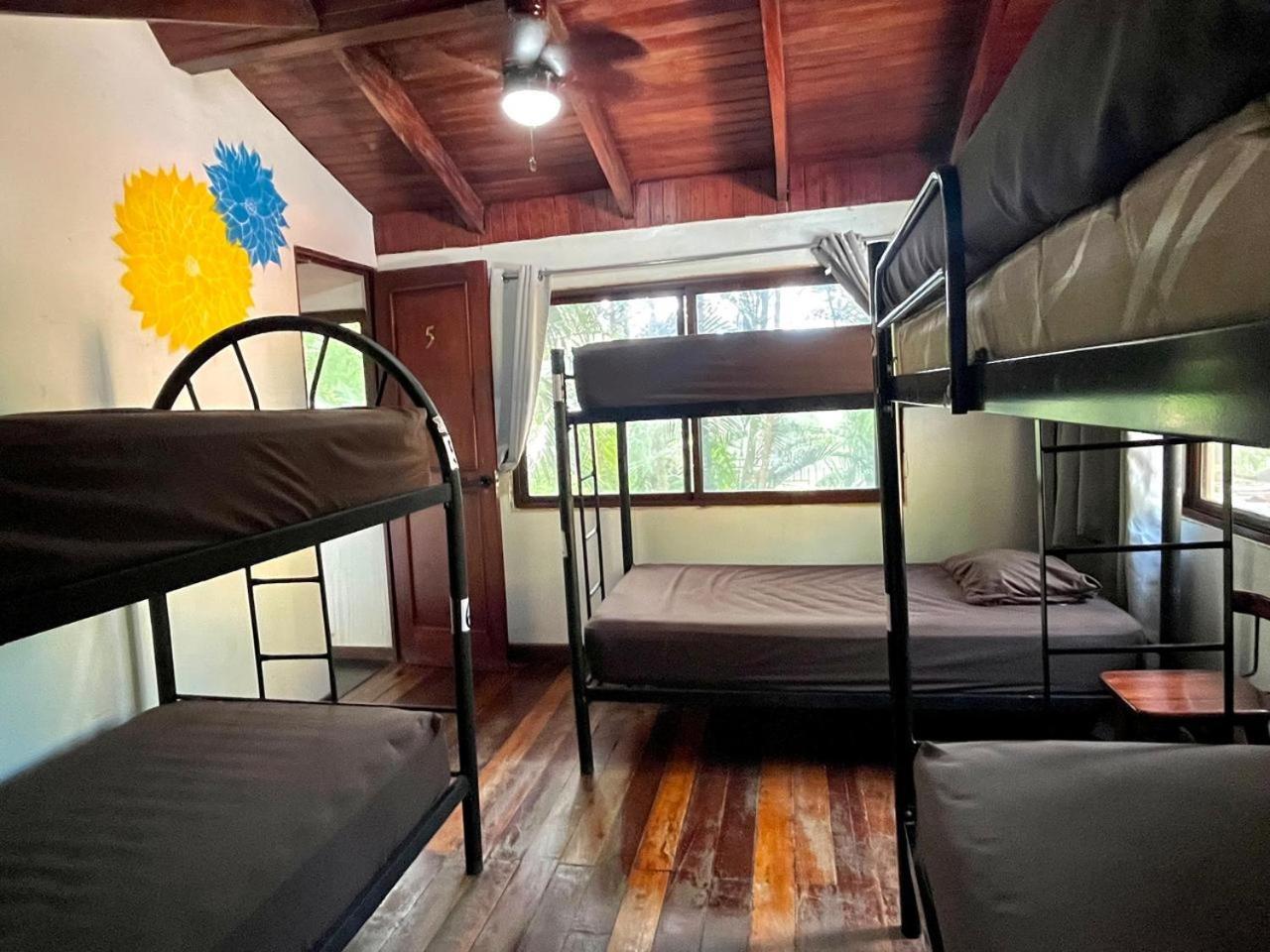 Tamarindo Backpackers旅舍 外观 照片
