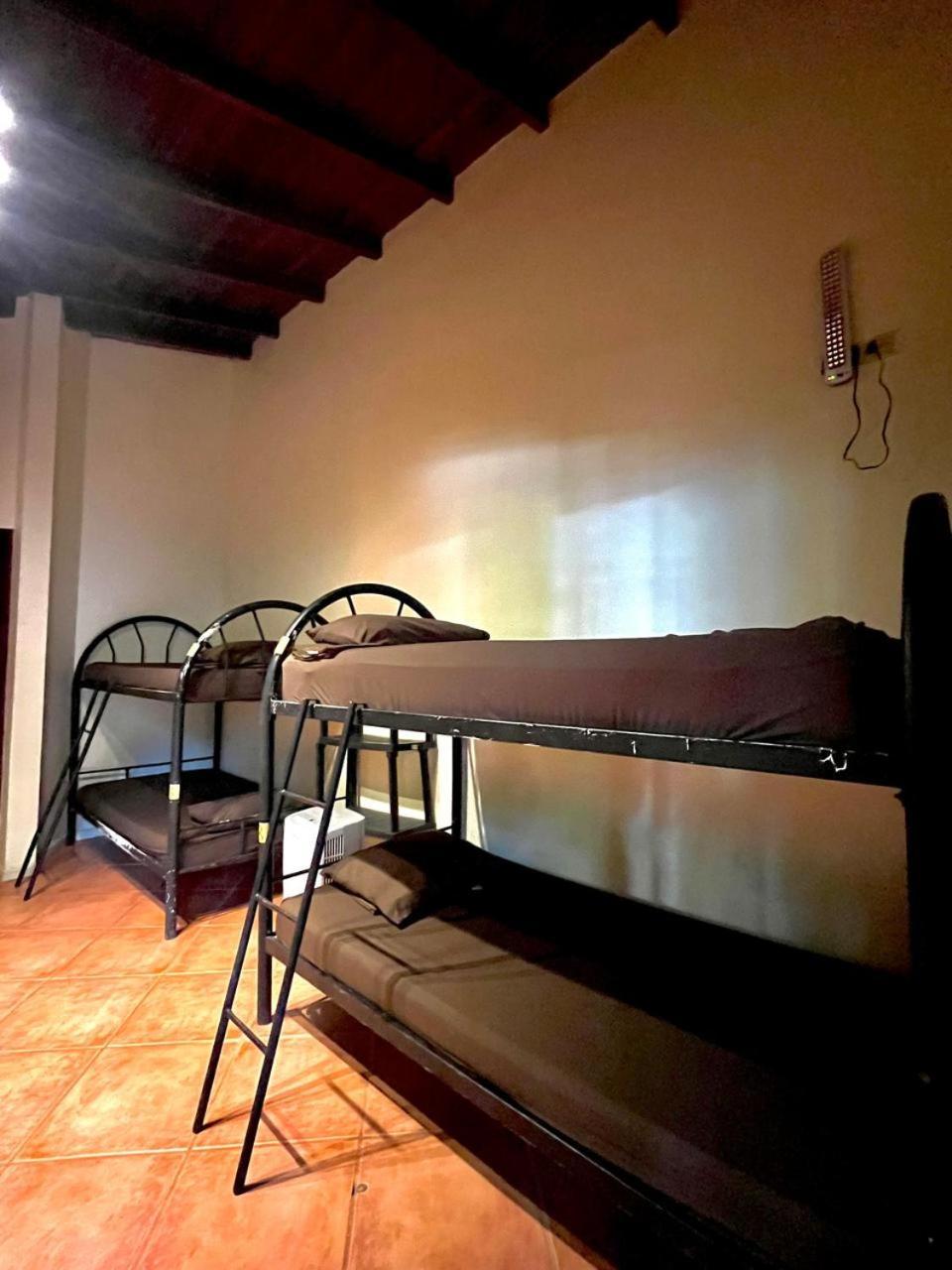 Tamarindo Backpackers旅舍 外观 照片