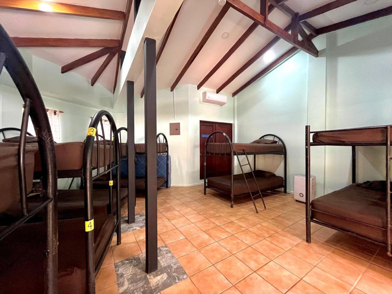 Tamarindo Backpackers旅舍 外观 照片