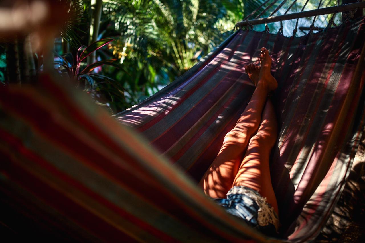 Tamarindo Backpackers旅舍 外观 照片